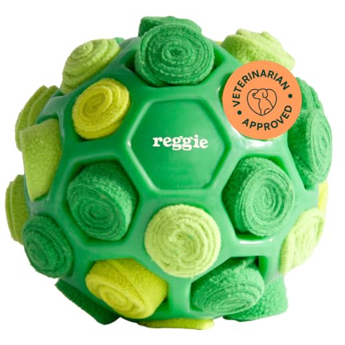 Snuffle Ball for Dogs