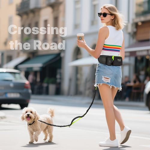 Hands Free Dog Leash for Medium Large Dogs (for One Dog / Black/Green)