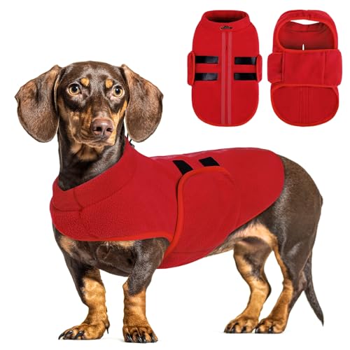 Small Dog Sweater (Red / X-Small)