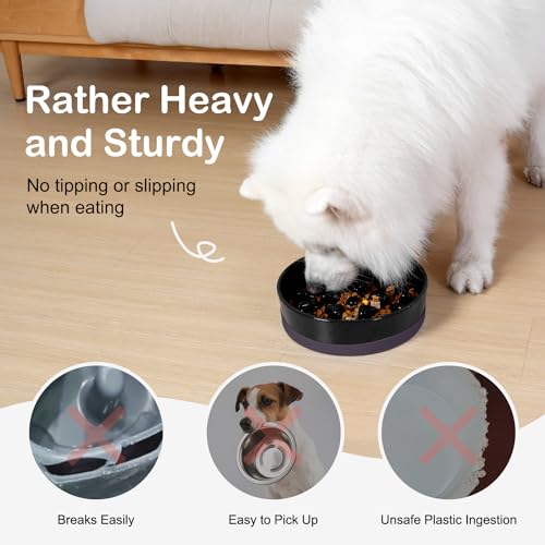 Ceramic Slow Feeder Dog Bowls for Medium Large Breed (Large-9.5 inches / Black)