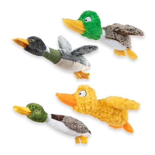 Interactive Squeaky Dog Chew Toy (Duck (Mystery Box) / Large)