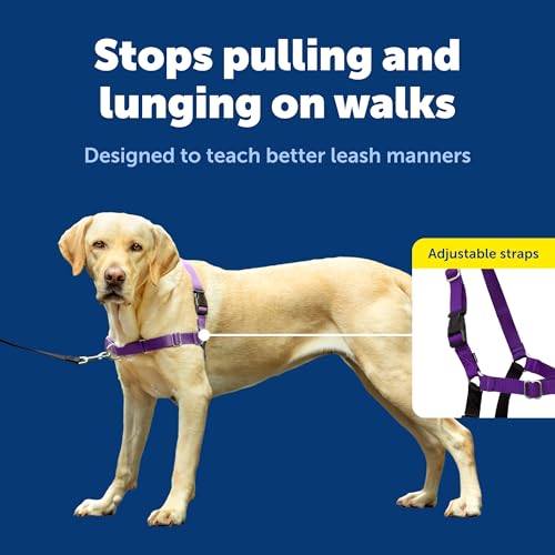 Easy Walk Harness (Large / Deep Purple/Black)
