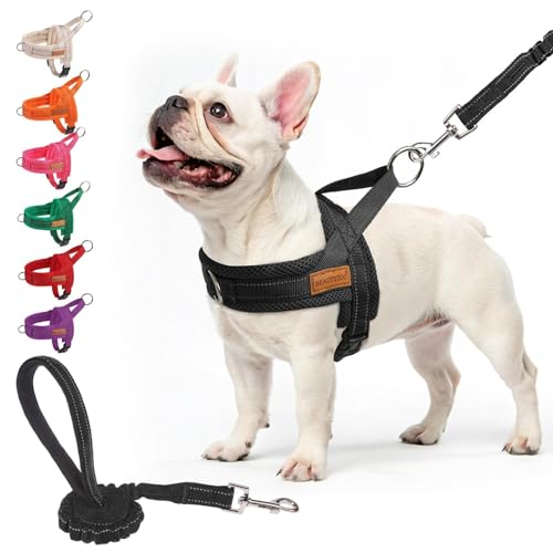 Dog Harness Medium Sized and Leash Set (Black / M: Chest 21"-26.7")