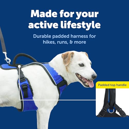 EasySport Dog Harness (Small / Blue)