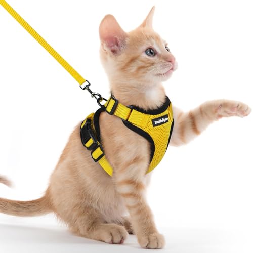 Cat Harness and Leash Set (Xxs / Yellow)