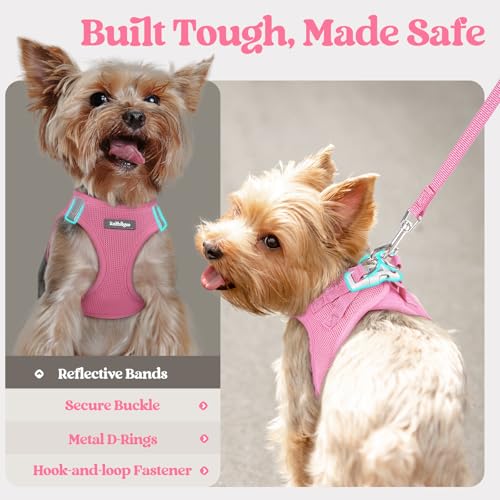Dog Harness Medium Sized and Leash Set (Light Pink / Xxl (chest: 21.6 - 23.7"))