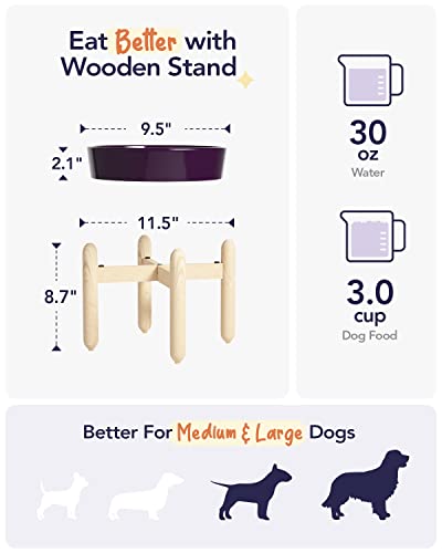Ceramic Slow Feeder Dog Bowls Elevated (Maze Purple+Stand / L-3 Cups)