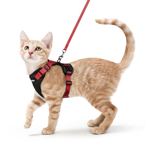 Cat Harness and Leash Set (S / Black & Red)