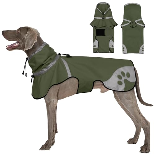 Dog Raincoat for Medium Dogs (Green / Medium)