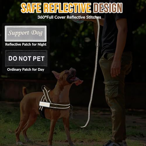 No Pull Dog Harness and Leash Set (Tan / Large)