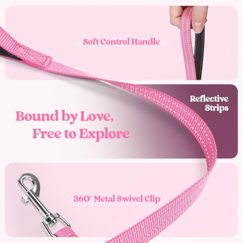 Dog Harness Small Sized and Leash Set (Pink Floral / S (chest: 15.1 - 16.5"))