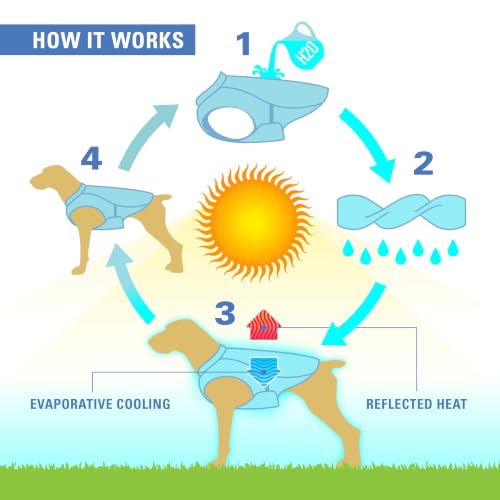 Core Cooling Vest (X-Large)