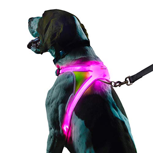 LightHound Light Up Reflective Dog Harness (Large)