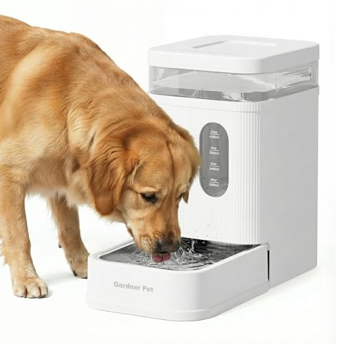1.7 Gallon Automatic Dog Water Dispenser with Stainless Steel Bowl (White / 1.7 Gallon)