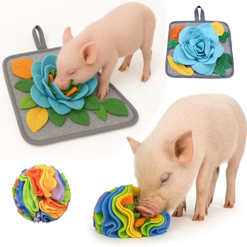 Pig Snuffle Mat and Snuffle Ball for Pigs