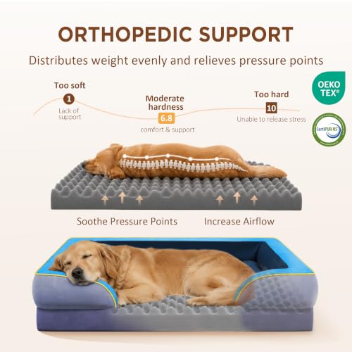 Orthopedic Dog Bed for Extra Large Dogs with Bolster (42.0"L x 30.0"W x 8.5"Th / Hidden Bay)