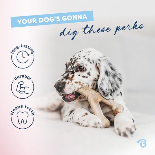 Puppy 2 Pack Dental (Tiny – 2 Pack)