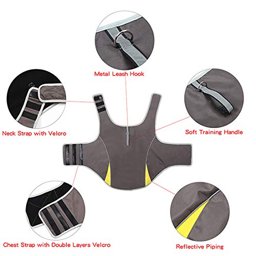Dog Anxiety Jacket (Gery / XL (Pack of 1))
