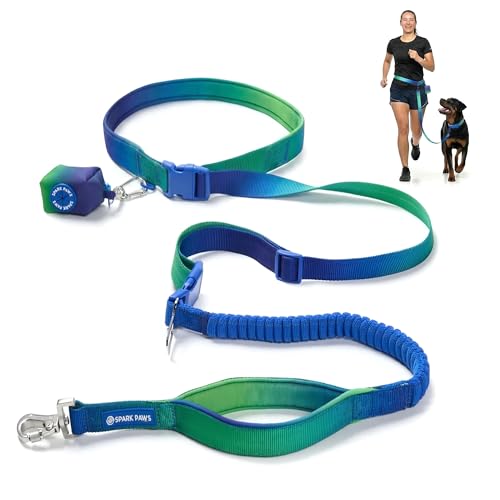 Hands Free Dog Leash (Lime Wave)