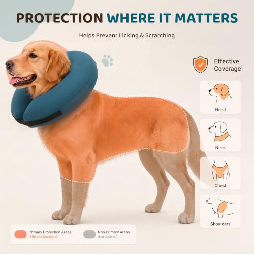 Inflatable Dog Cone (Blue / XL(21"-24"))