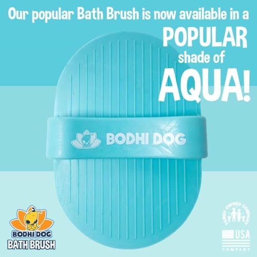 Shampoo Brush (1 Pack / Aqua Blue)