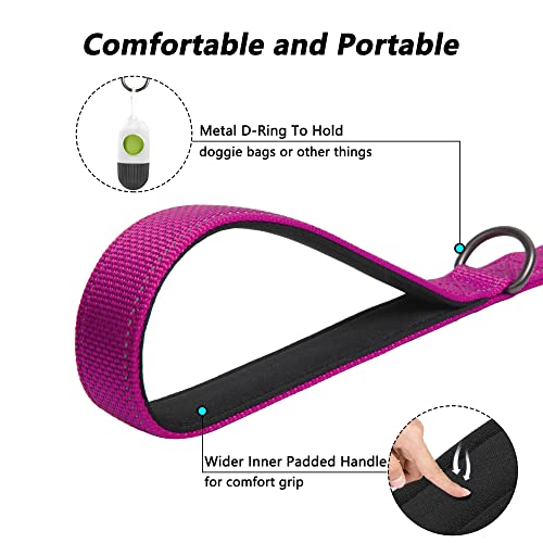 5FT Heavy Duty Dog Leash with Soft Padded Double Handle (5 FT x 1 in Wide / Rose)