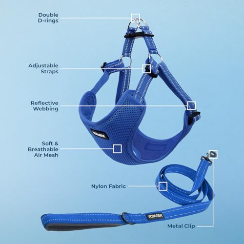 Voyager Adjustable Step (Harness Leash Set (Royal Blue) / L)