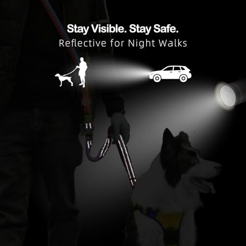 Hands Free Dog Leash with Waist Belt for Running & Walking (Sunset Blaze)