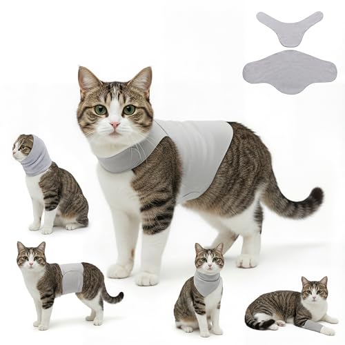 Dog & Cat Surgery Recovery Suit and Anxiety Wrap (XS / Gray)