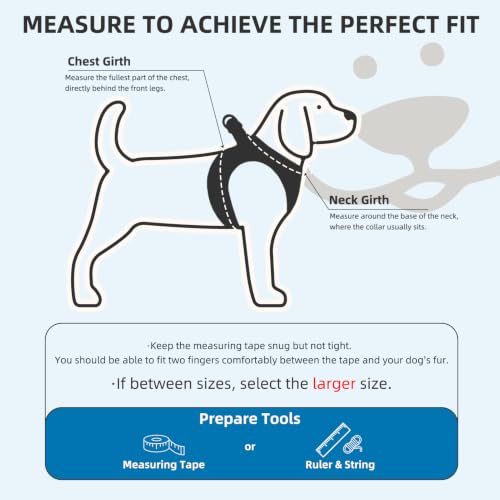 Dog Harness Collar and Leash Set No Pull for Small Medium Sized (Light Blue / M (CHEST 16"-18"))