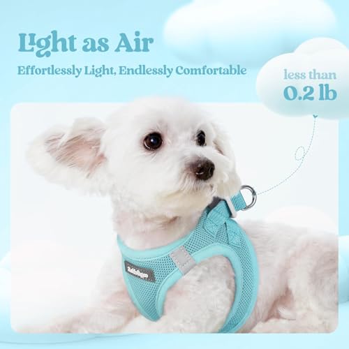 Dog Harness Small Sized and Leash Set (Mint Blue / Xs (chest: 13.3 - 15.5"))