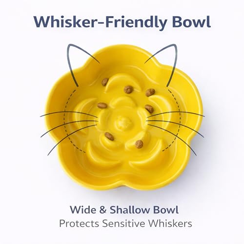 Ceramic Elevated Slow Feeder Cat Bowl (Beige/Yellow)