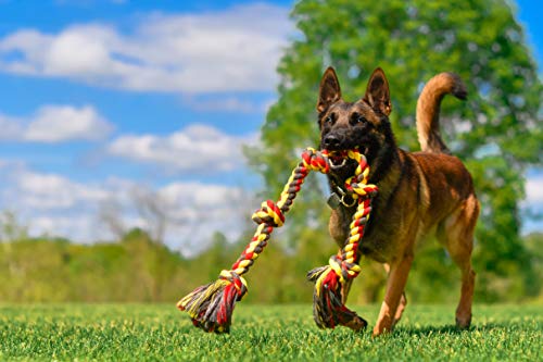 Mammoth Flossy Chews Multi Color 5 Knot Rope Tug (X-Large 36" / 5 Knot)