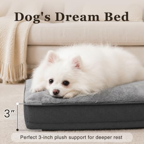 Waterproof Small Dog Bed for Crate with Washable Cover (23.0"L x 17.0"W x 3.0"Th / Grey)