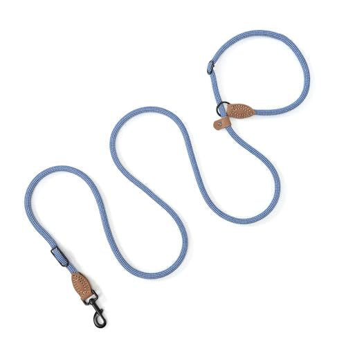 Hands Free Dog Leash (Blue White / 8FT Hands Free)