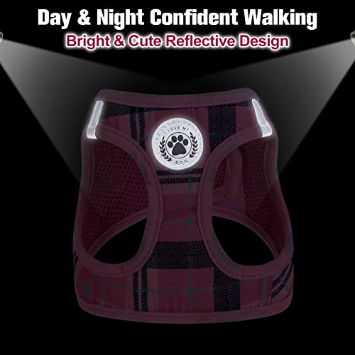 Large Dog Harness and Leash Set (Large(Chest Girth 18" - 21") / Pink)