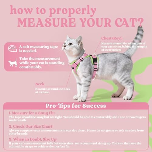 Cat Harness and Leash Set (Xs / Pink & Light Green)