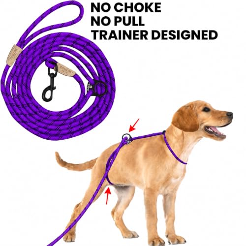 12ft No Pull No Choke Leash Long Rope Dog Leash (12 Ft / PURPLE)