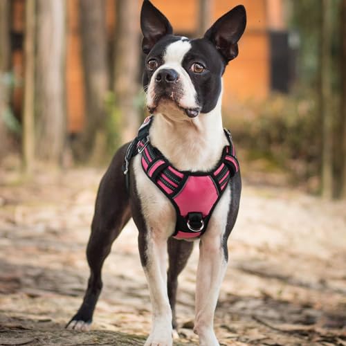 Dog Harness Small Sized (Pink / Small)
