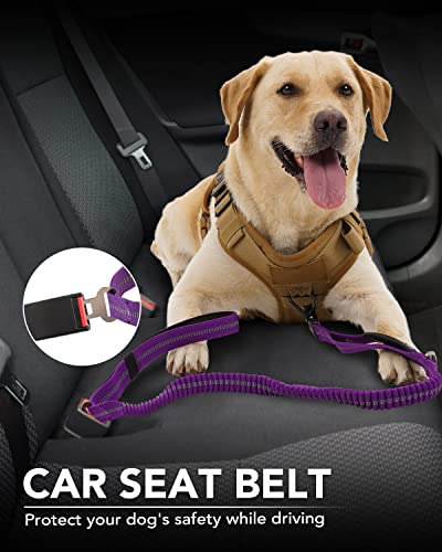 Tactical Bungee Dog Leash (Purple)