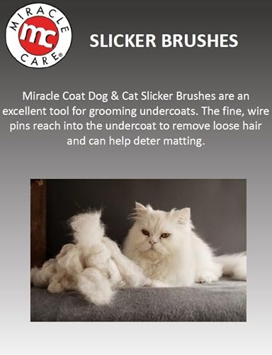 Small Slicker Brush for Cats (Small / Slicker Brush for Cats)