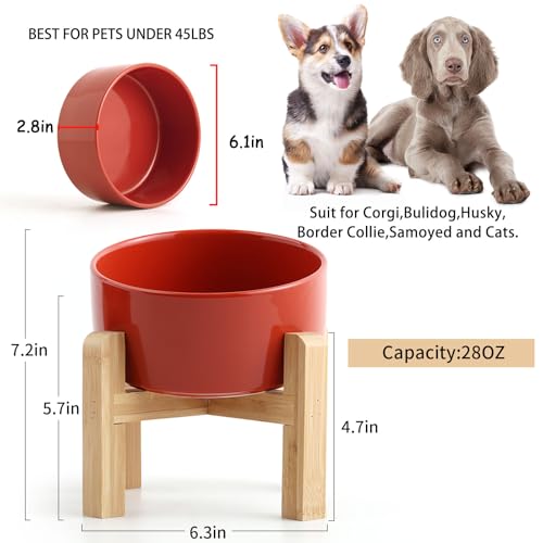 Elevated Raised 15°Slanted Ceramic Dog Bowl for Small and Medium Breeds (Rust Red / 3.6 CUPS - Medium Dog Bowls)