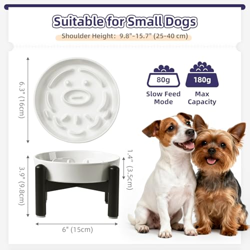 Elevated Slow Feeder Dog Bowl (White / S（1 Bowl with Stainless Steel Stand）)