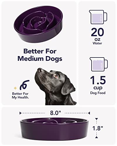Dog Bowls Slow Feeder Ceramic (Maze Purple / M-1.5 Cups)