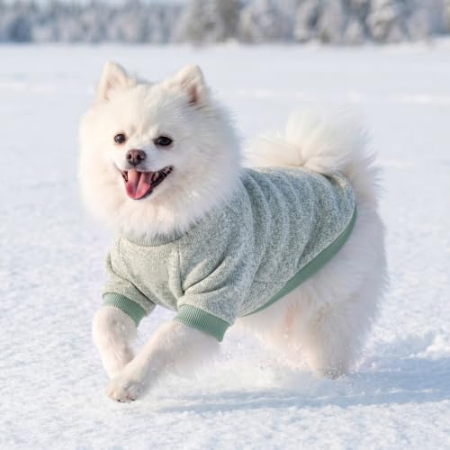1 Pack Dog Sweater for Small Dogs Girl Boy Winter Fleece Clothes Warm Soft Dog Sweatshirt Outfit for Dogs Cats Pet Apparel (matcha green / L (Back: 15.7", Chest: 19.6", 14-18 lbs))