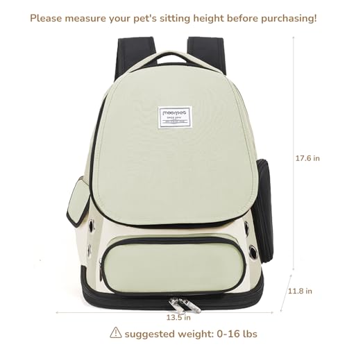 Cat Backpack Carrier (Green Mesh)