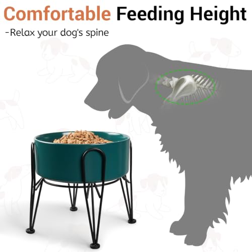 Elevated Dog Bowls (Green / 7.6 Cups | 2 Pack | For Large Dogs)