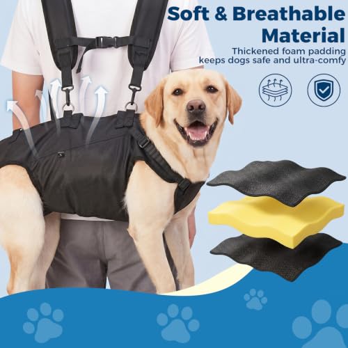 Dog Backpack Carrier Lift Harness (Medium)