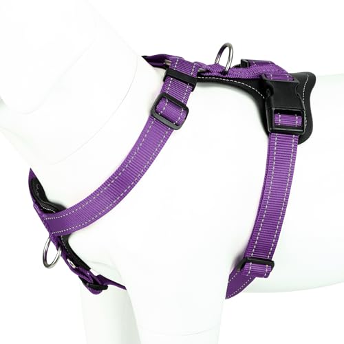 No Pull Dog Harness with Leather Accents (M / Purple)