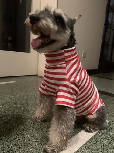 Turtleneck Dog Shirt Cute Doggie Embroidery Super Soft Dog Sweatshirt Stretchy Striped Puppy Pullover for Cats Small Medium Large Dogs (Red Striped / Large)